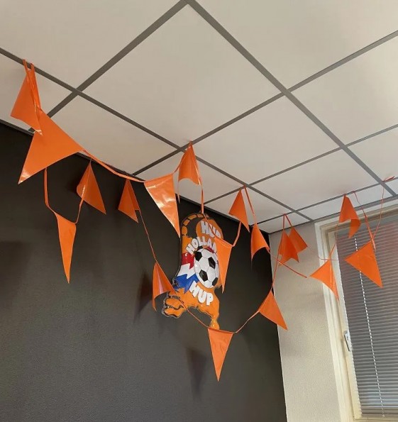 Oranje Vlaggenlijn Lengte 10 meter met 18 oranje puntvlaggen